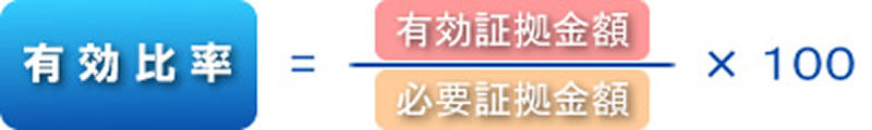 有効証拠金額・必要証拠金額
